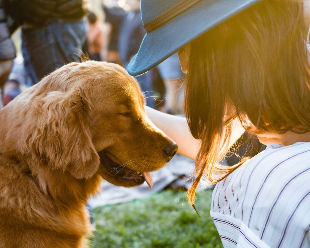 person near golden retriever