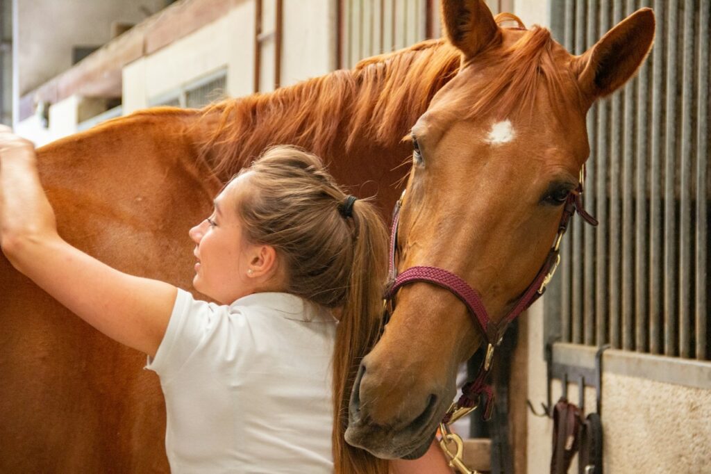 Thoroughbred horse carrot stretches