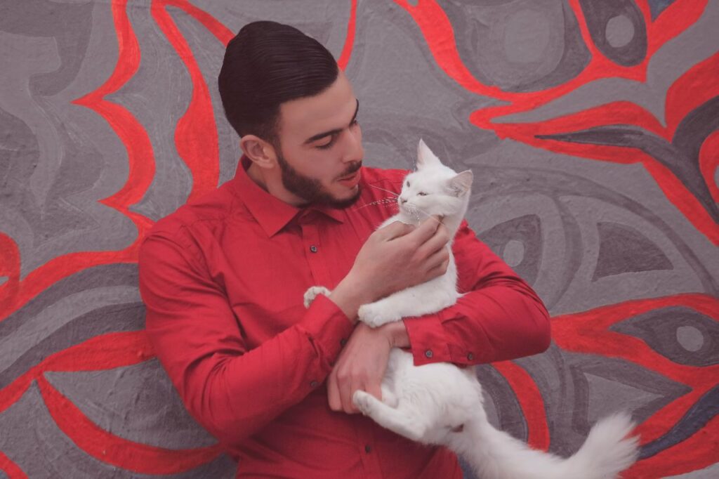 person holding cat gently