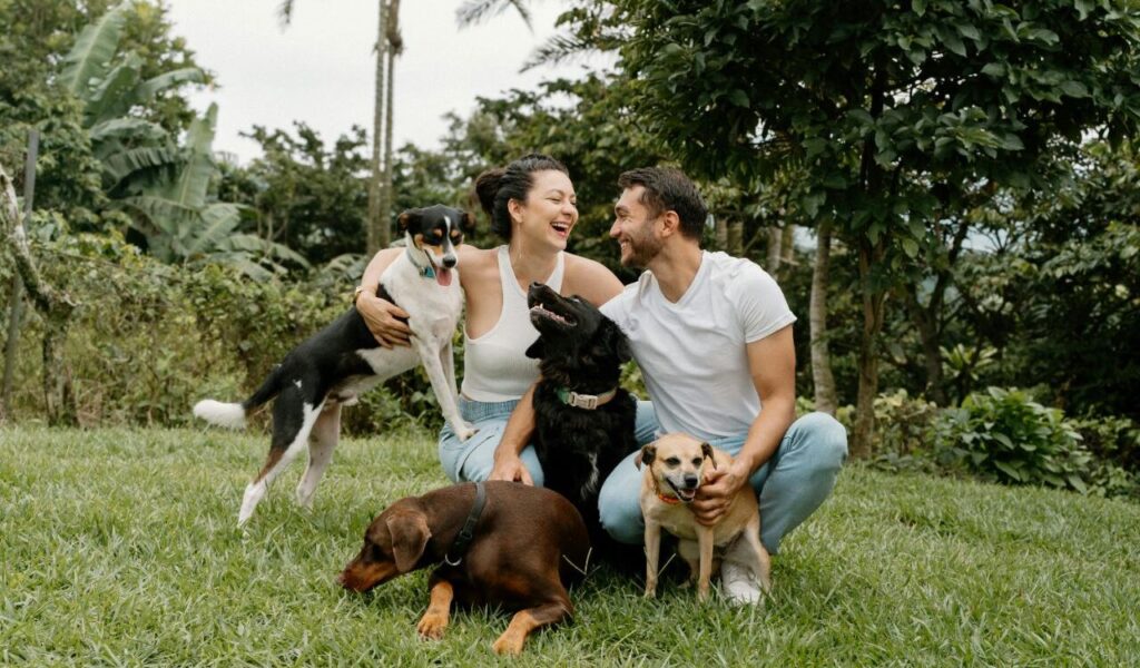 Smiling couple sitting on grass surrounded by their five dogs.