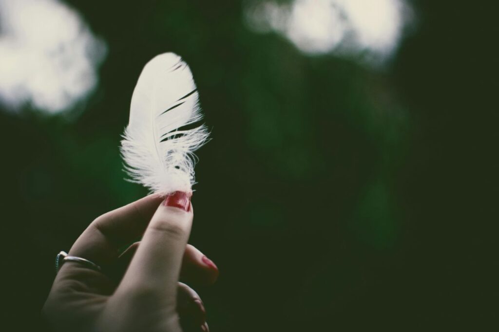 Feather in hand