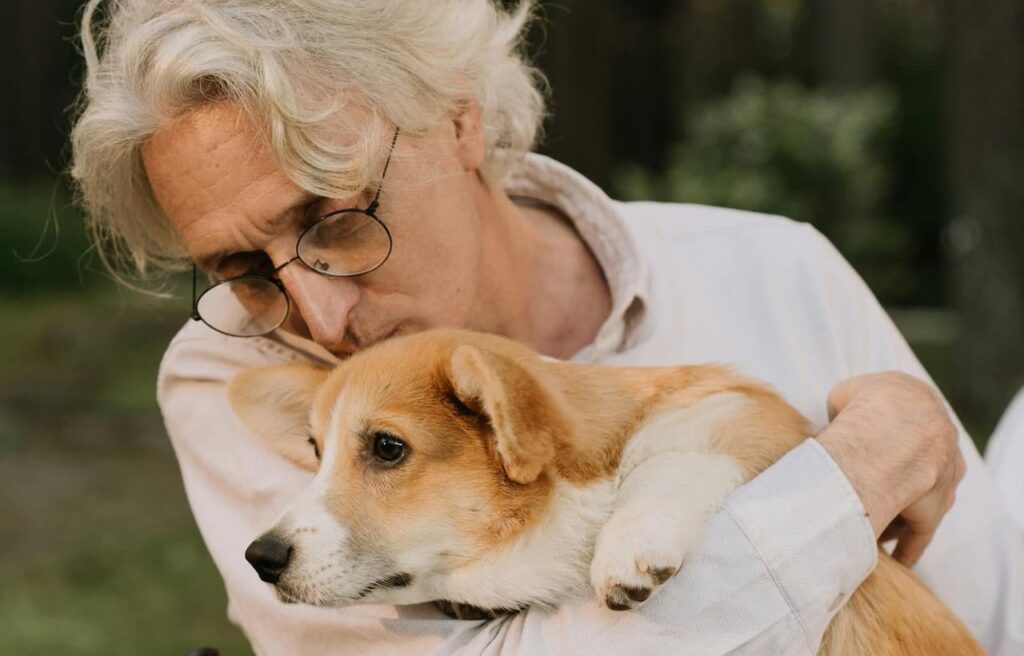 Elderly man hugging and kissing a corgi dog in a warm outdoor setting.
