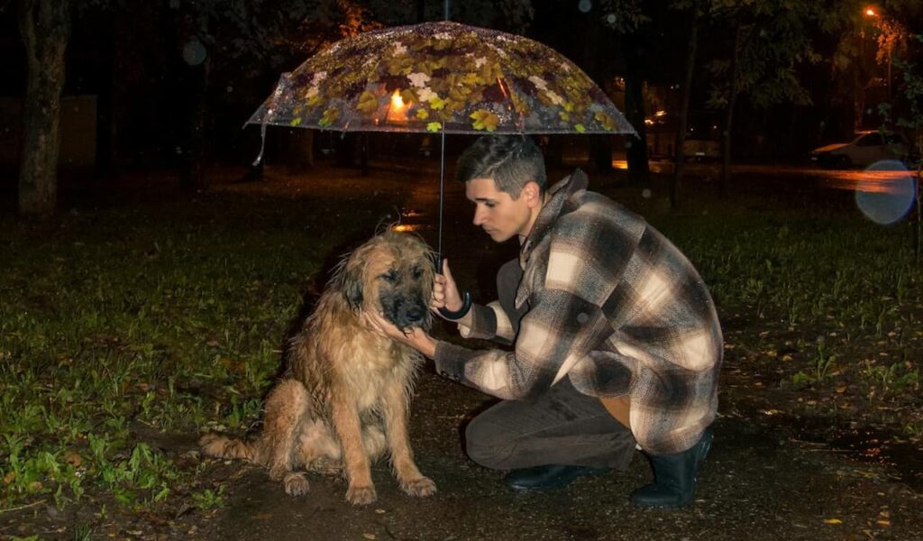 Man Squatting with Umbrella over Dog in Park at Night