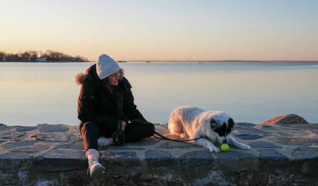 Peaceful Morning at Cove Island Park with Dog