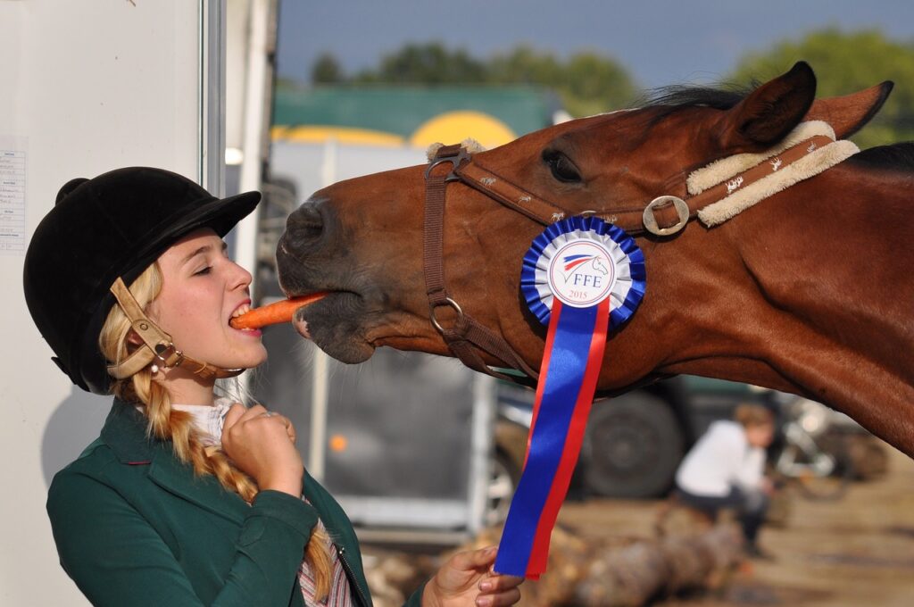 Horse Carrot eat