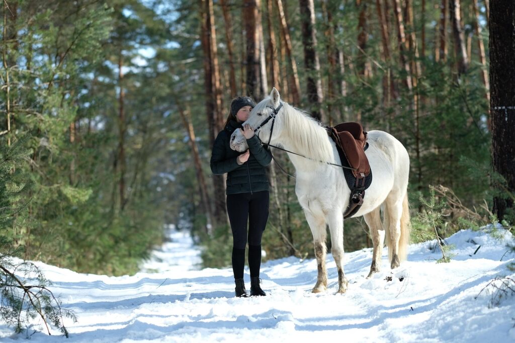 horse