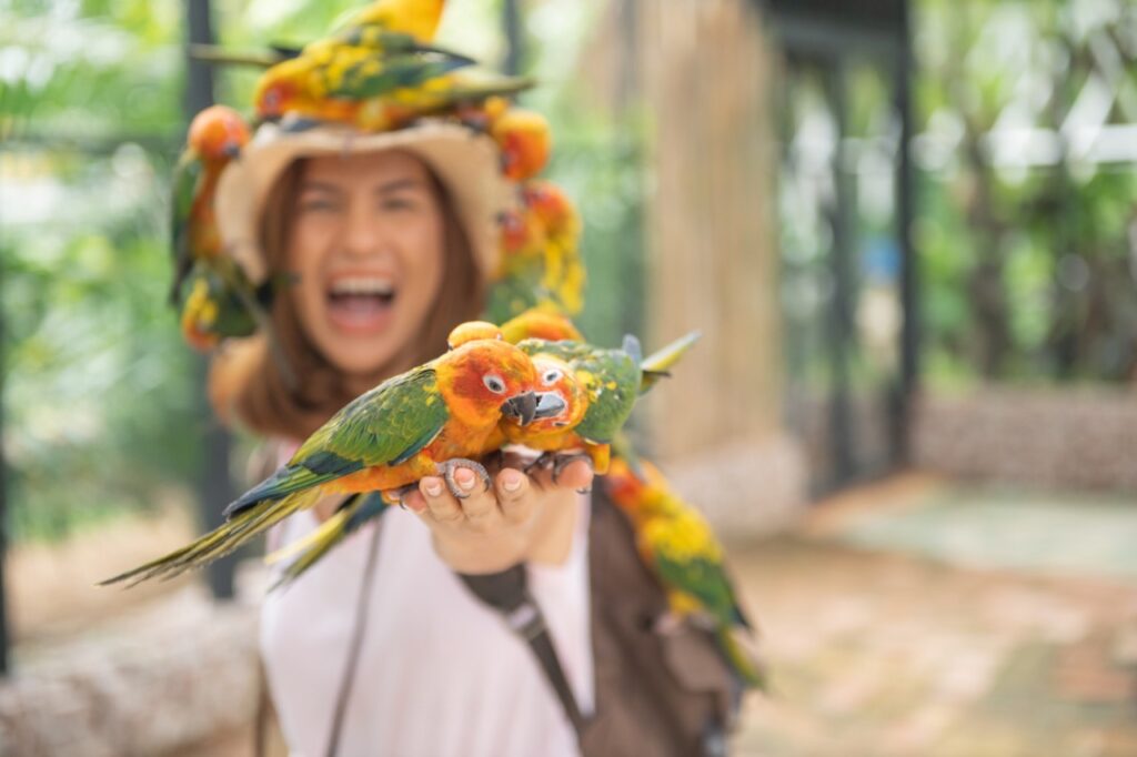 woman inside Aviary