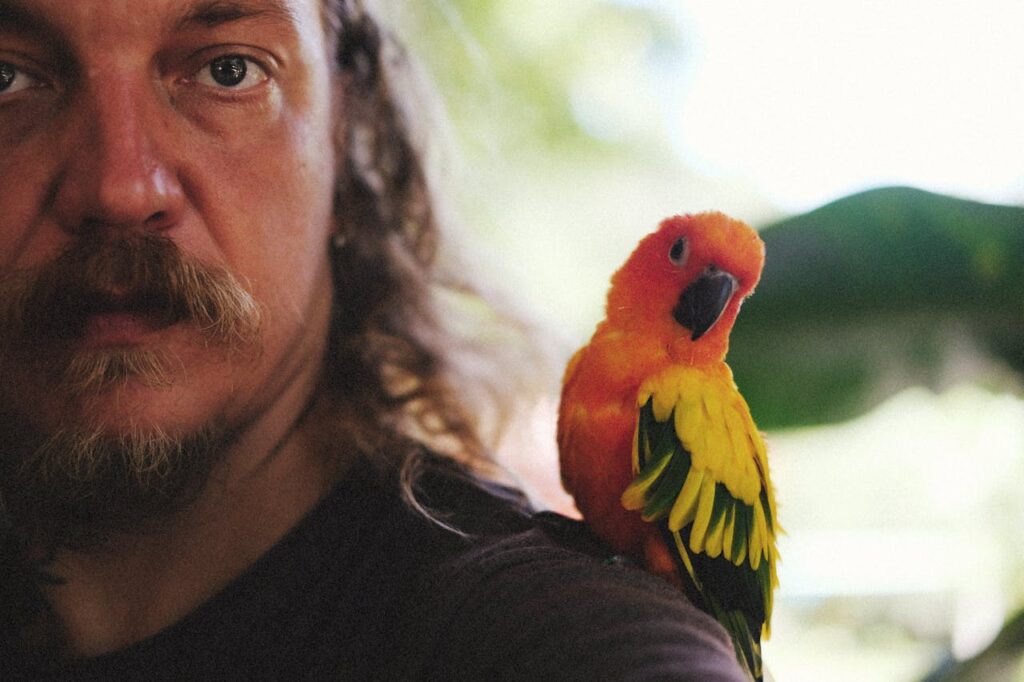 parrot on a mans shoulder