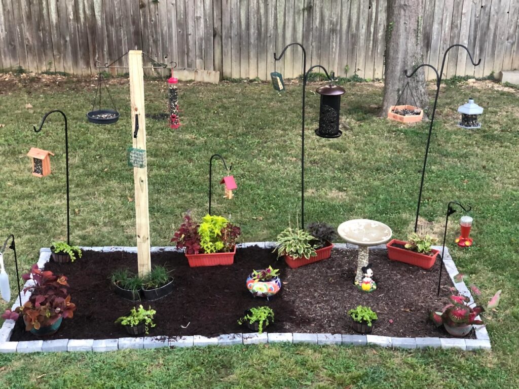Bird Feeder Backyard Setup
