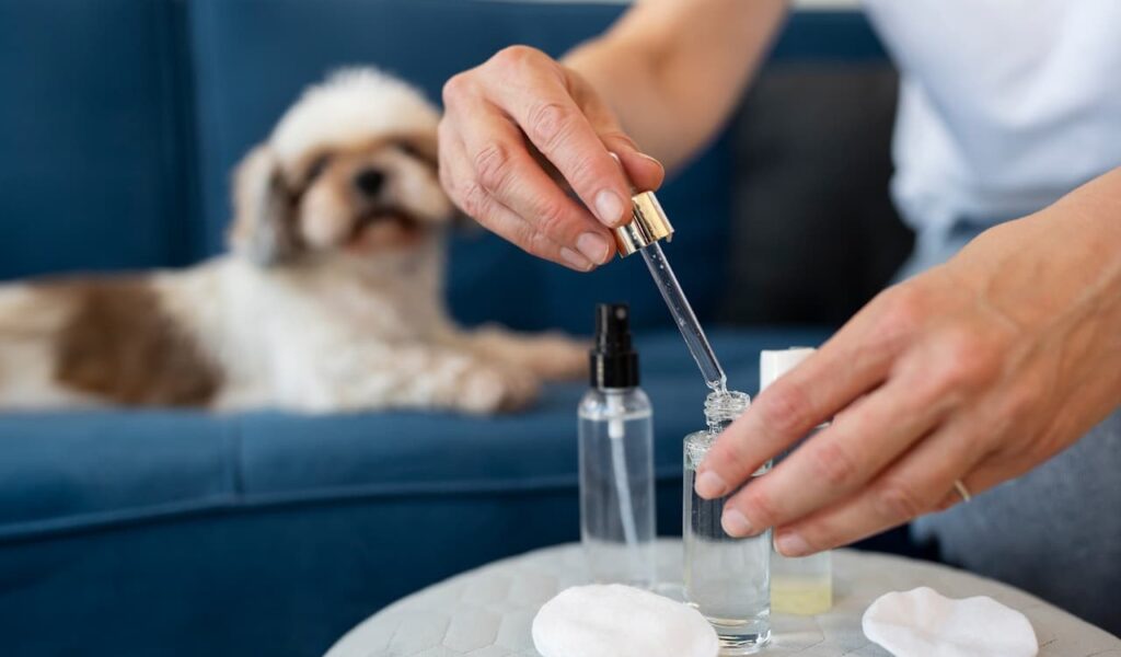 Person using dropper with dog nearby