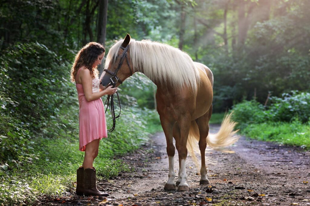 horse