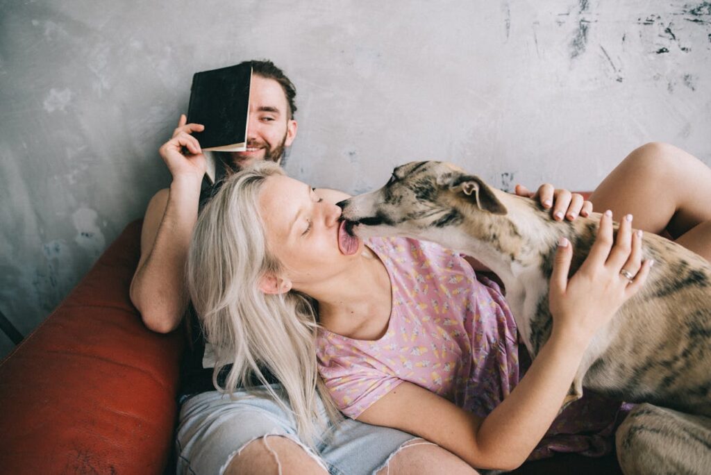dog licking