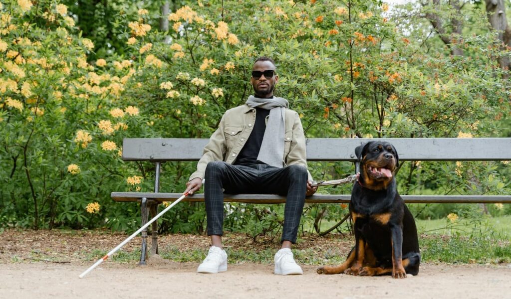 Man sits on a bench holding a leash, with his service dog beside him.