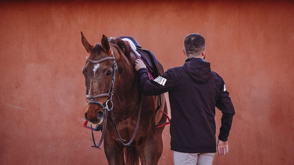 American Saddlebred 