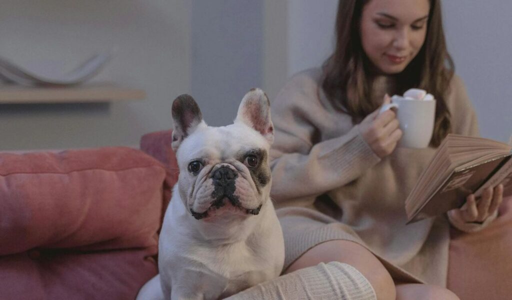Woman in Brown Sweater Holding White Ceramic Mug Sitting on Couch