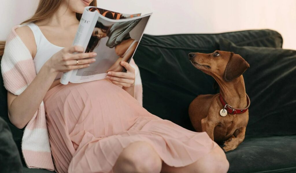 A Pregnant Woman Relaxing in The Sofa With Their Pet Dog