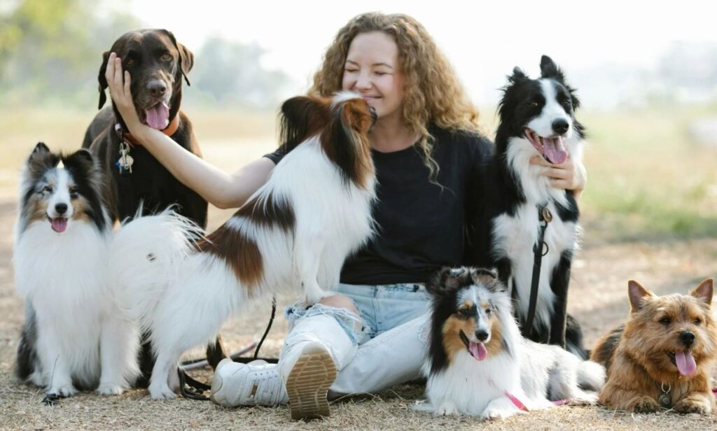 Papillon licking face of woman stroking Labrador Retriever in nature