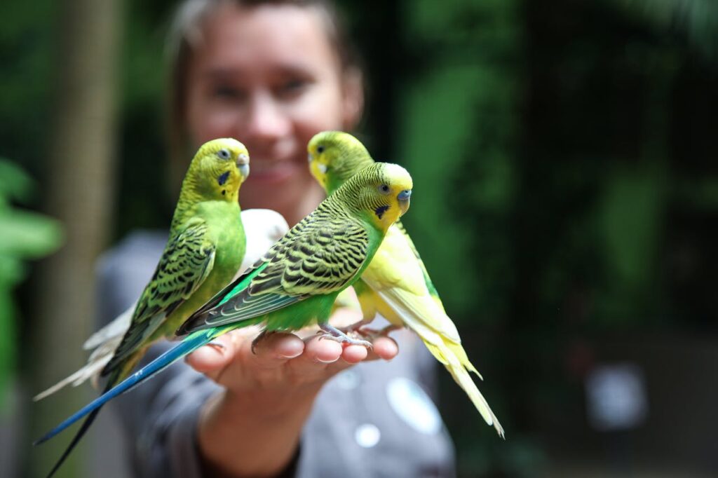 Woman With Pet birds