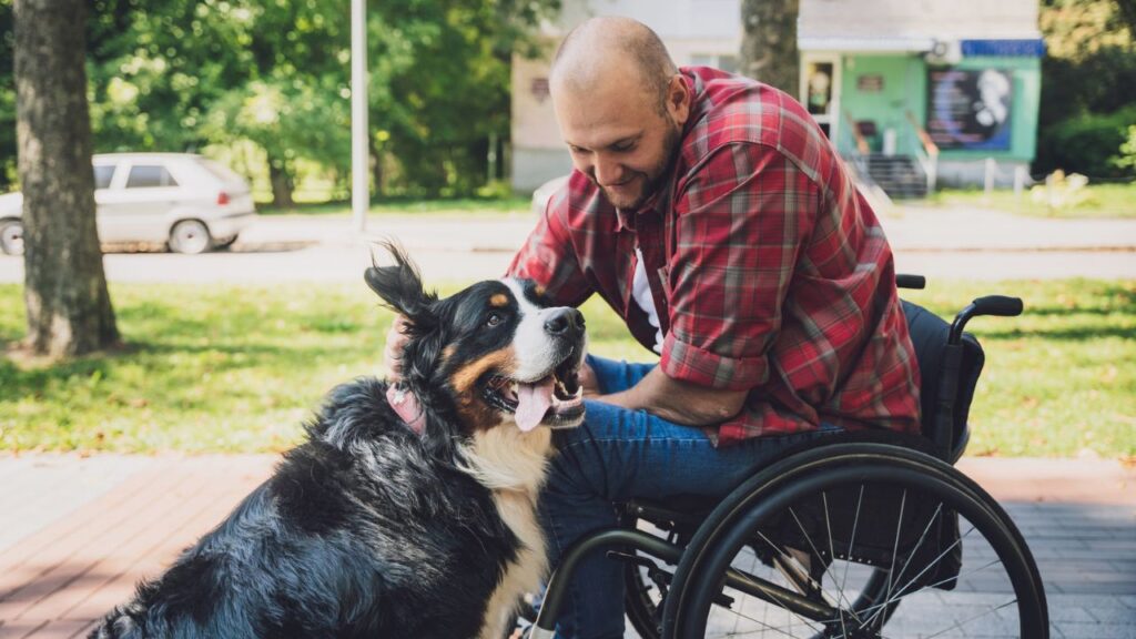 Happy young man with a physical disability in a wheelchair with his dog.