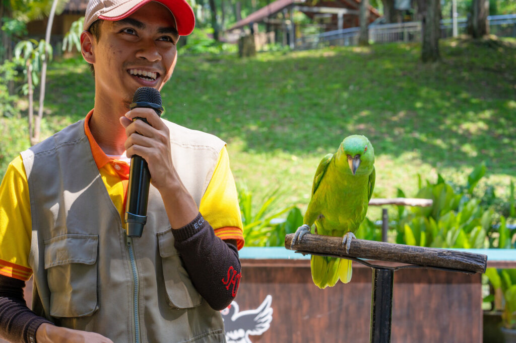 Talk Face to beak with parrot