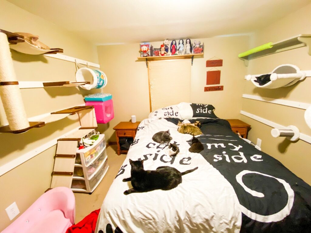 Cat space