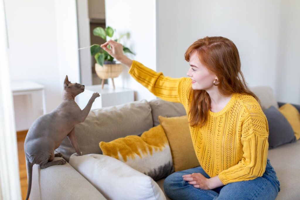Cat Play