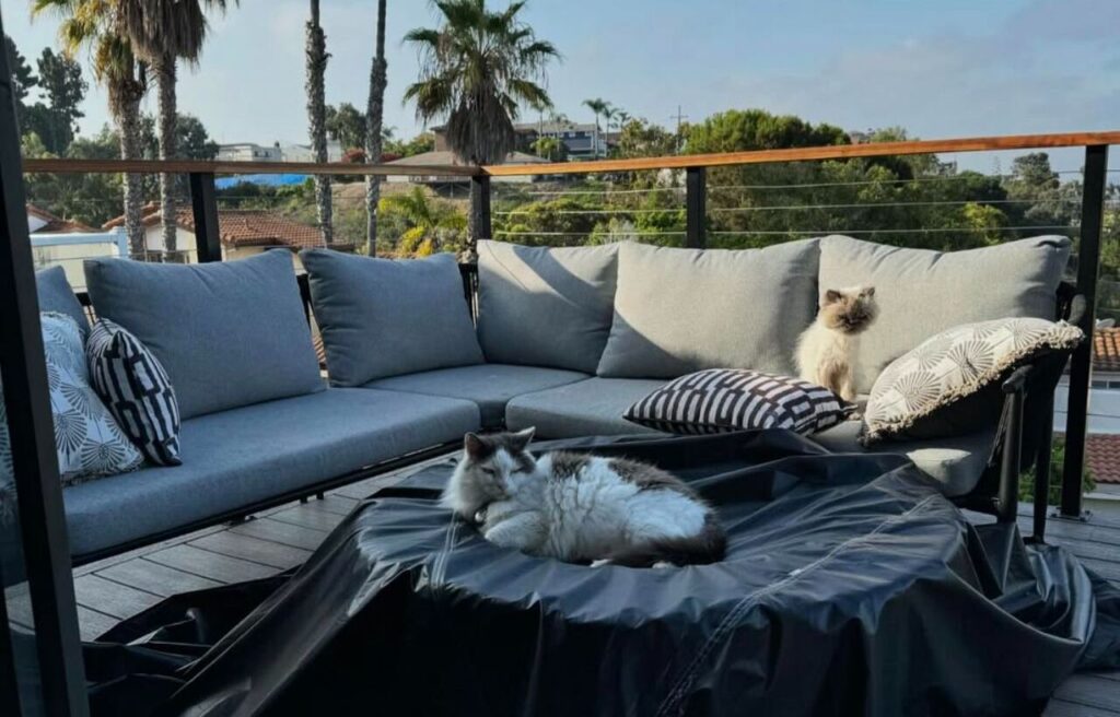 Two cats lounging on a rooftop catio.
