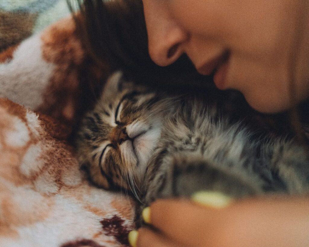 cat sleeping next to person