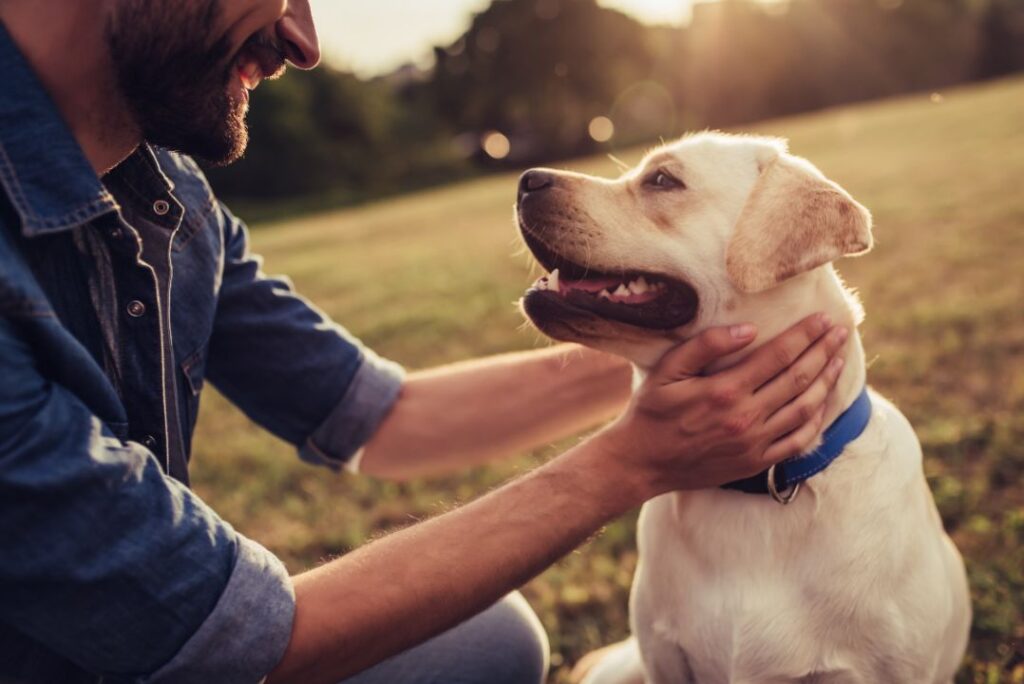 Dog helps you keep laughing