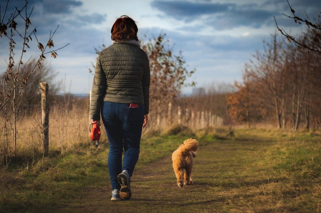 Dog walk