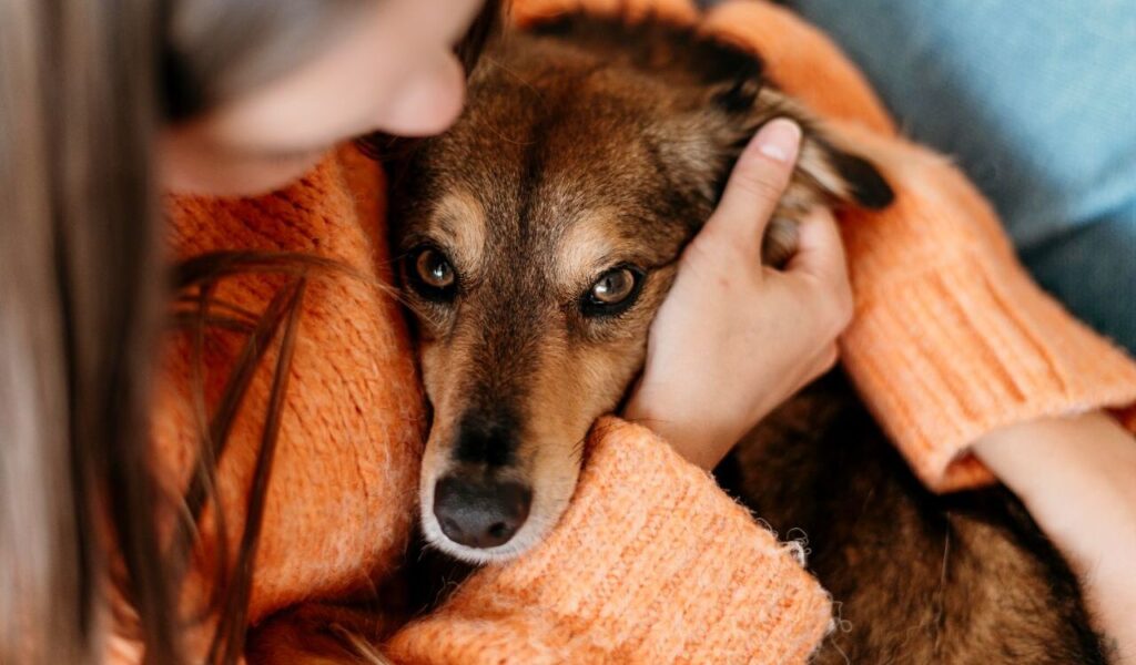 Woman cuddling a sad-looking dog in an orange sweater