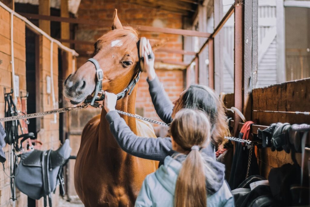 Horse Grooming