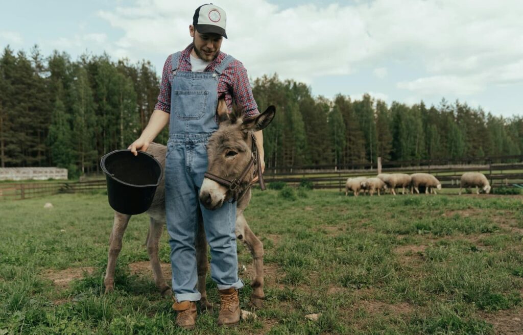 Farmer with a donkey and bucket