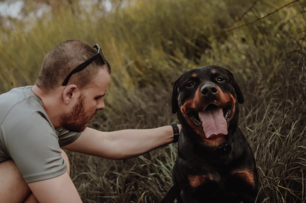 Rottweiler loyal
