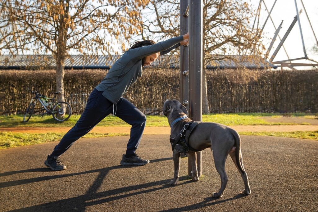 Dog Excercise