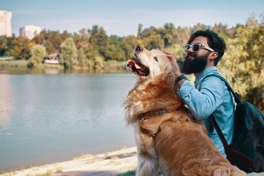 Dog travelling