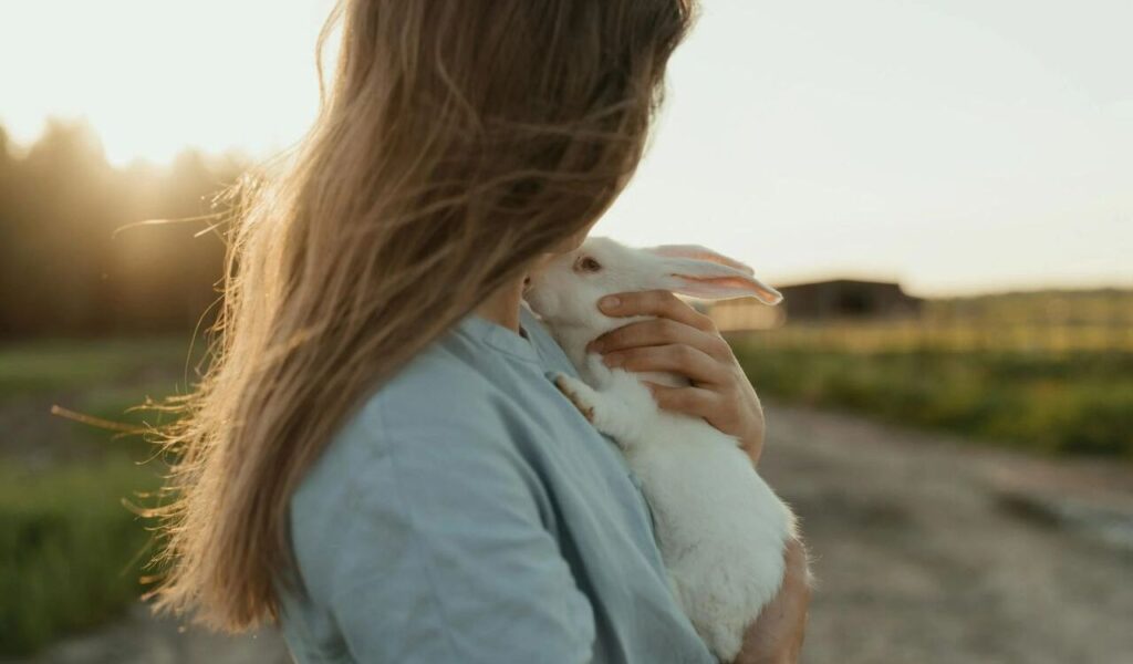 Cottonbro studio/Pexels