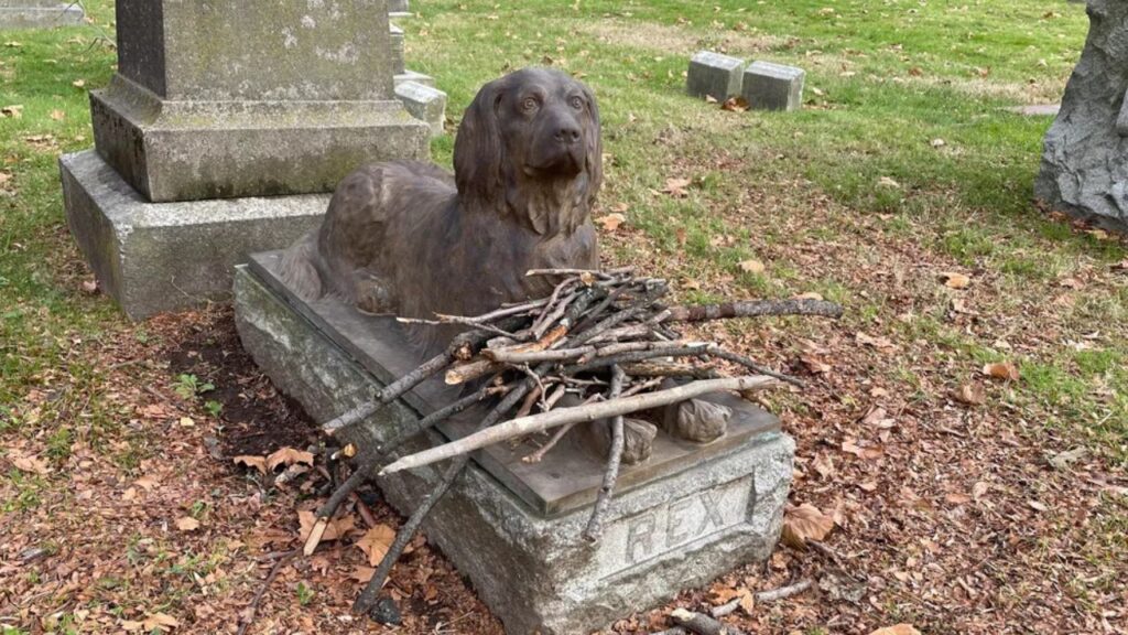 Dog Grave