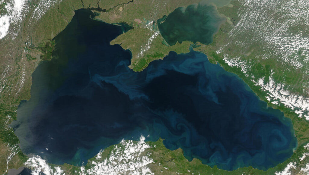 Phytoplankton bloom in black sea