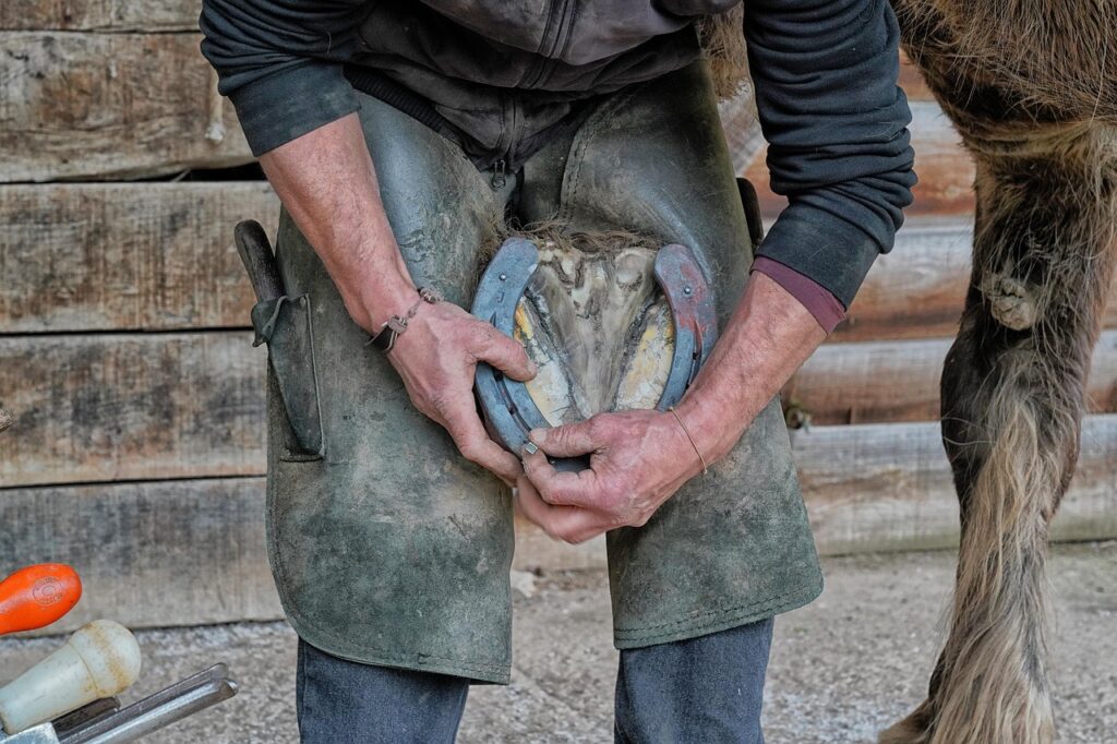 Farrier