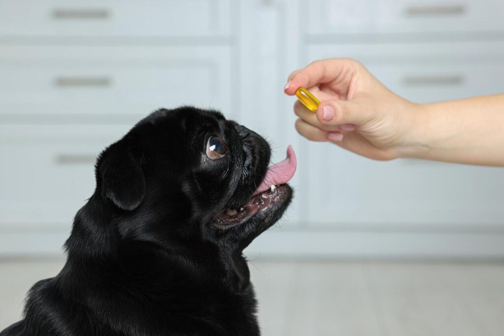 Fish Oil for dogs