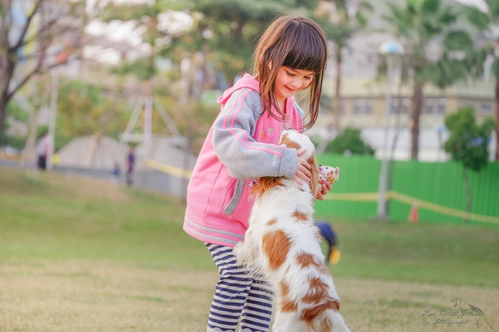 A Dog jumping onto a kid