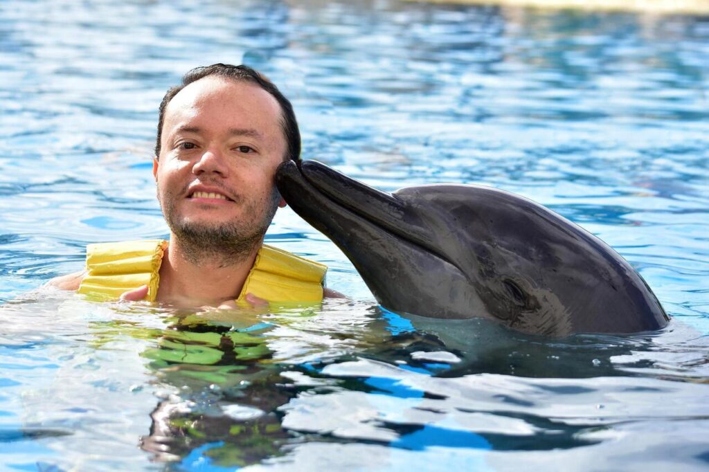 Dolphins – Detecting Illness with Sonar