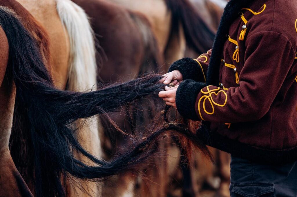 Horse grooming Helps Prevent Skin Allergies