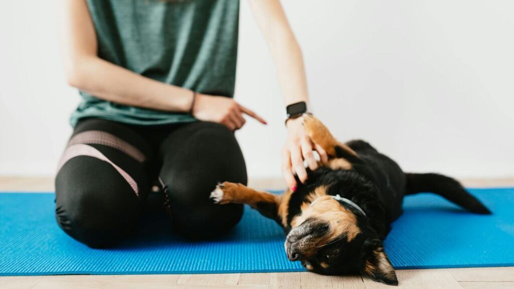 Small black and tan dog lying on a yoga mat while a woman gently pets it.