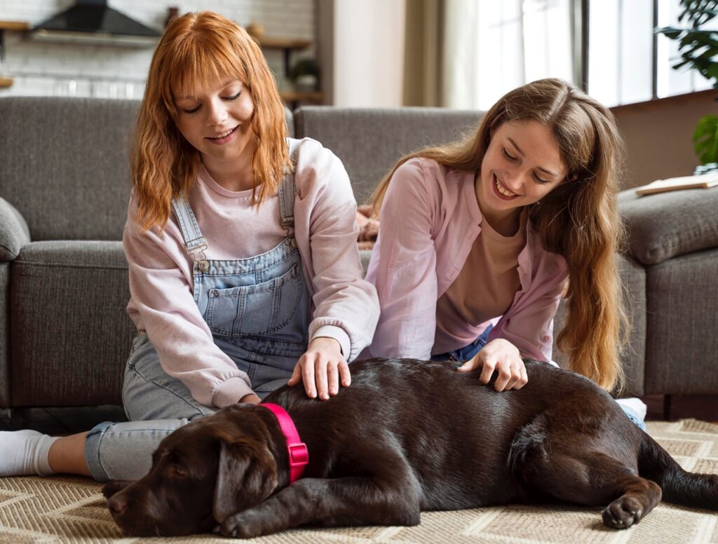 Dog Massage