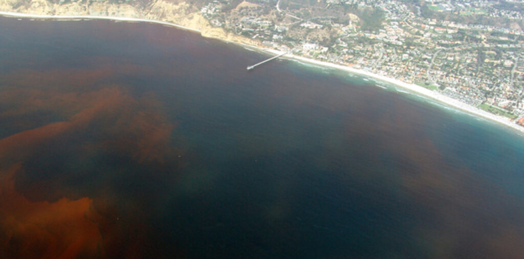 Dead Zone in California