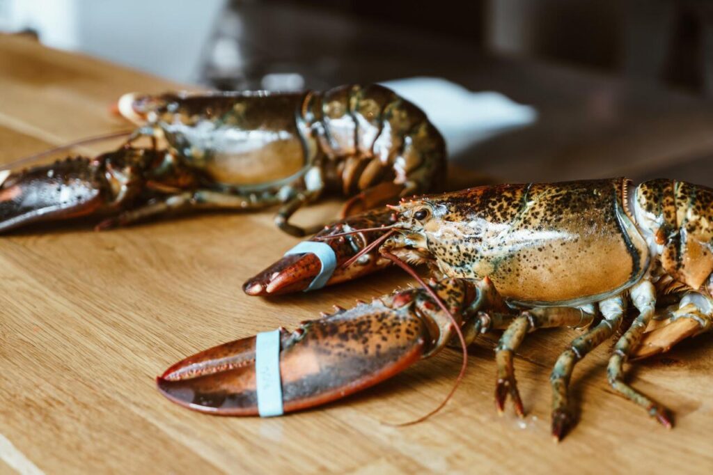 Lobsters