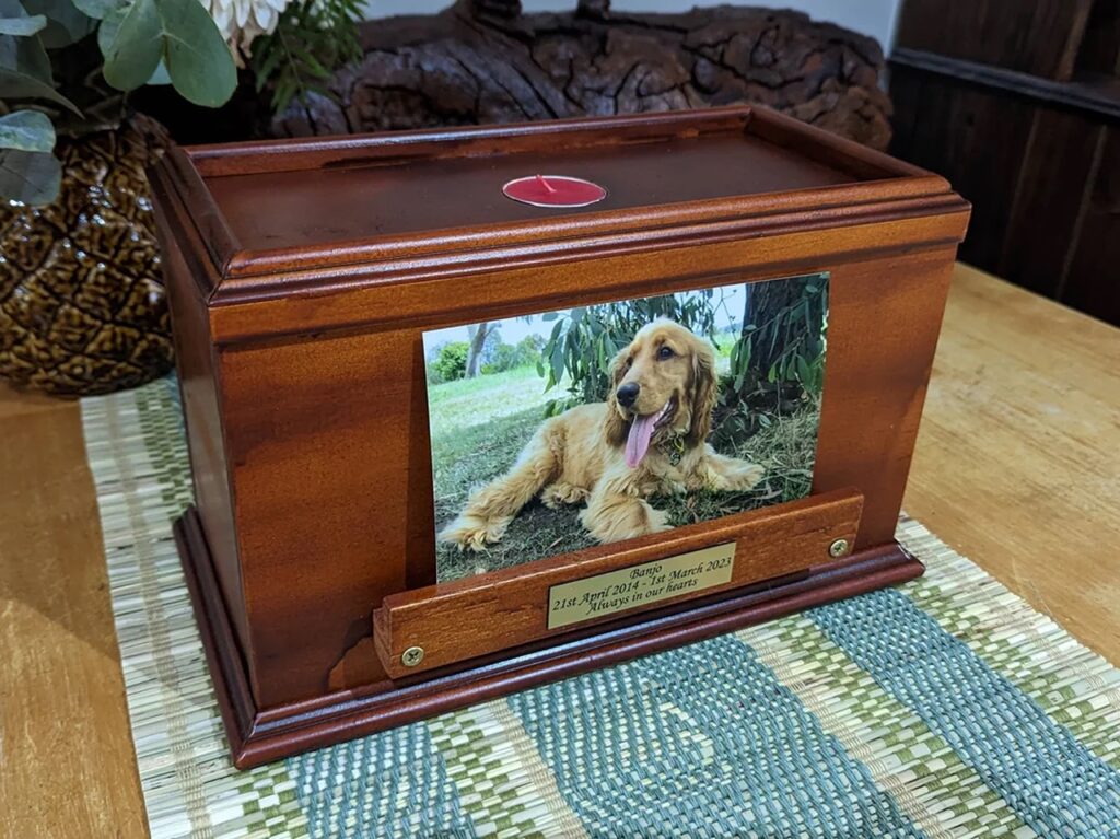 Dog Memory Box