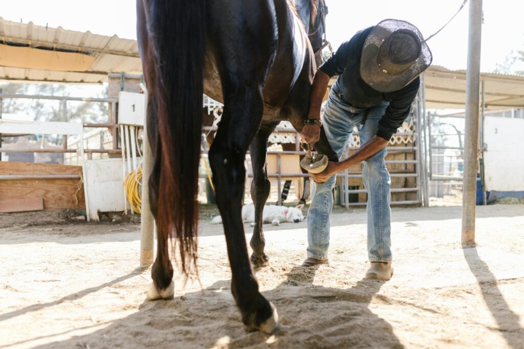 Man with horse
